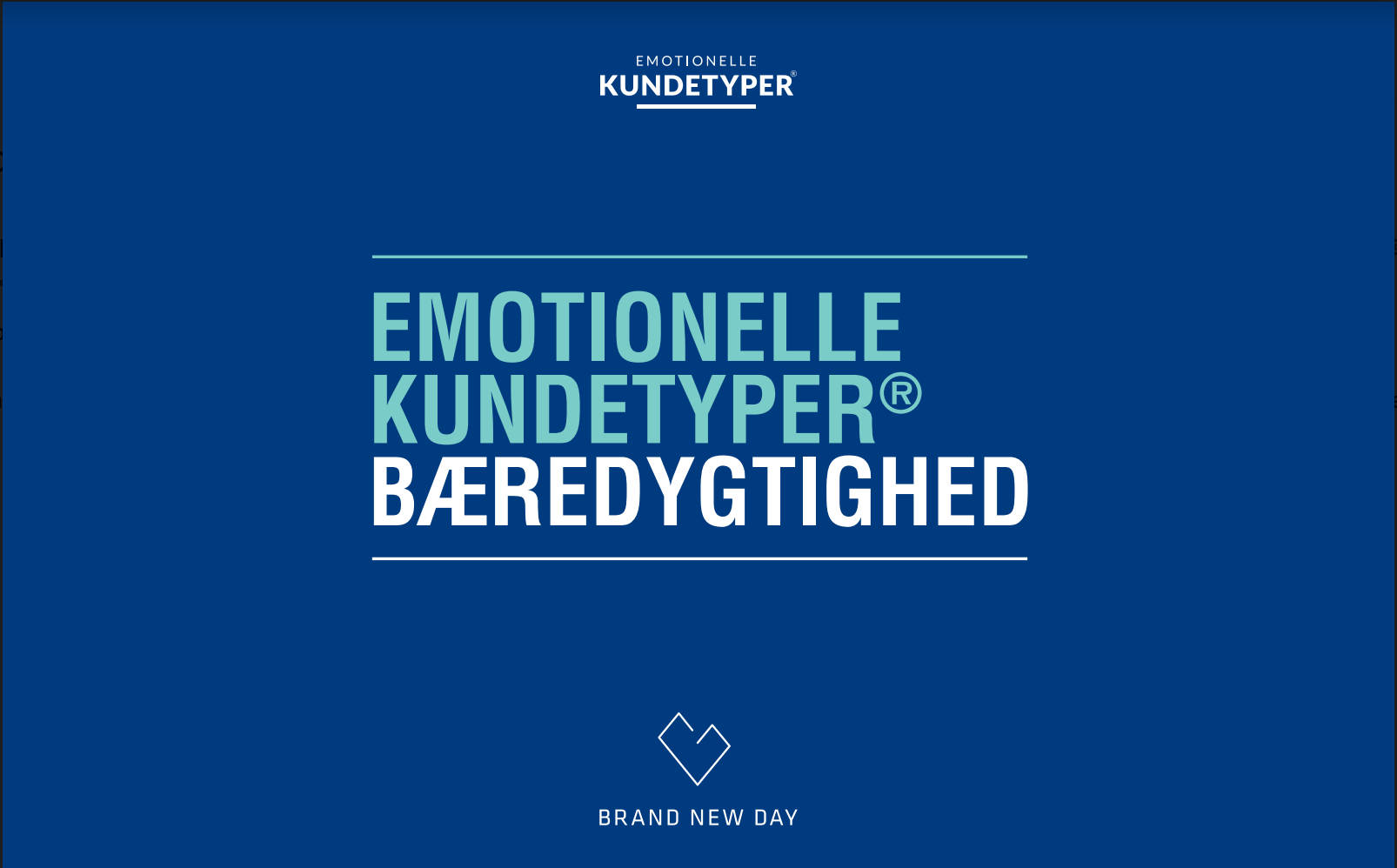 kundetyper